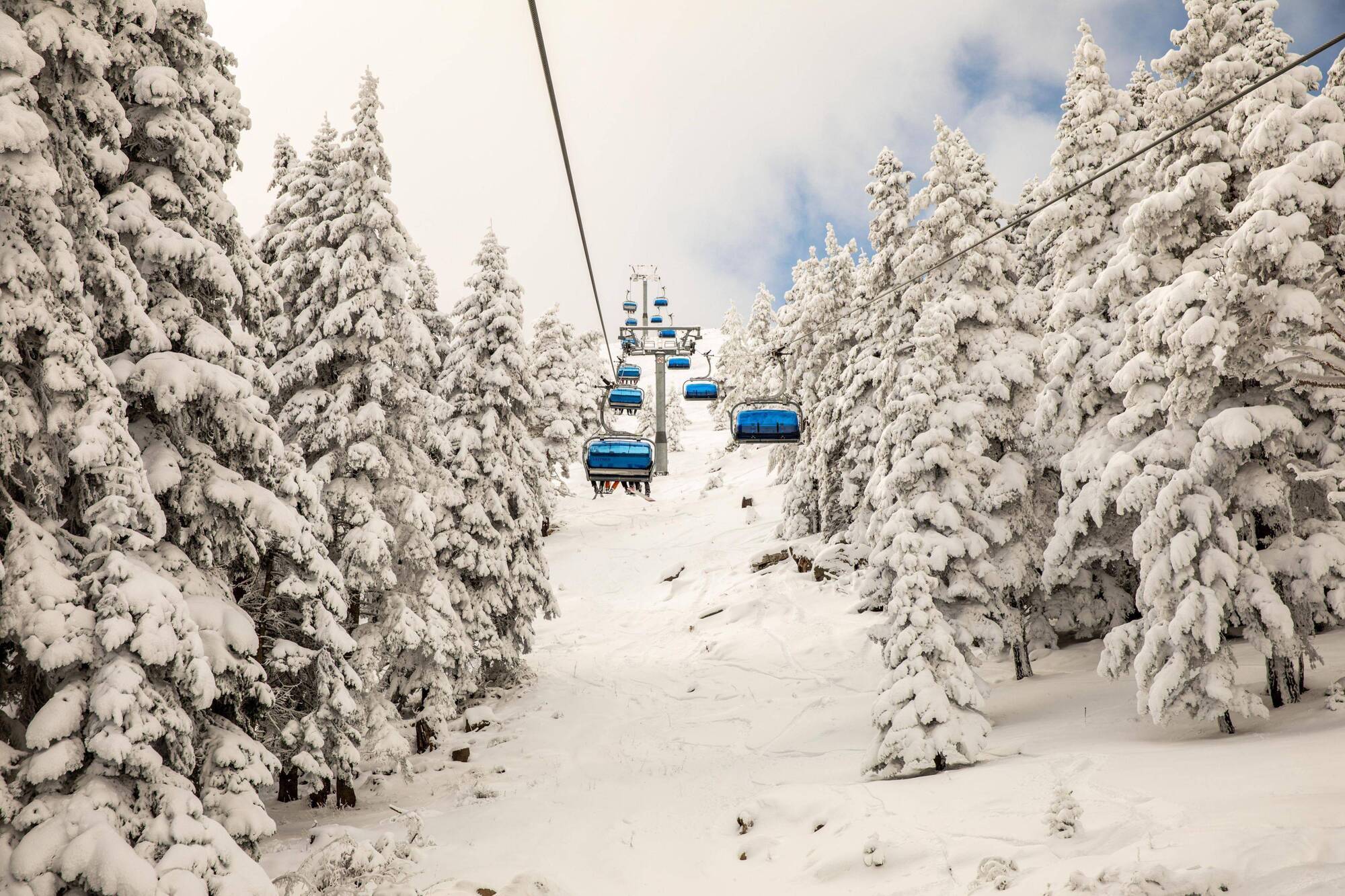 Dorukkaya Ski & Mountain Resort โบลู ภายนอก รูปภาพ